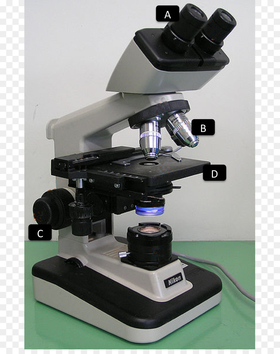 Microscópio Composto，Lentes PNG