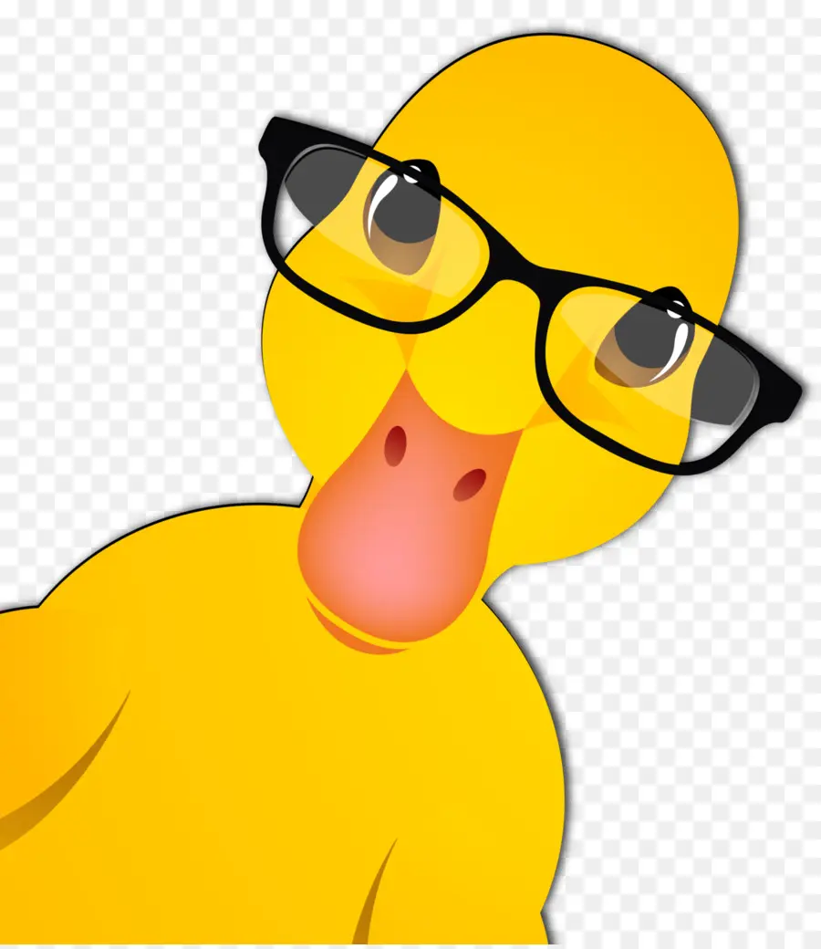 Pato Com óculos，Pássaro PNG