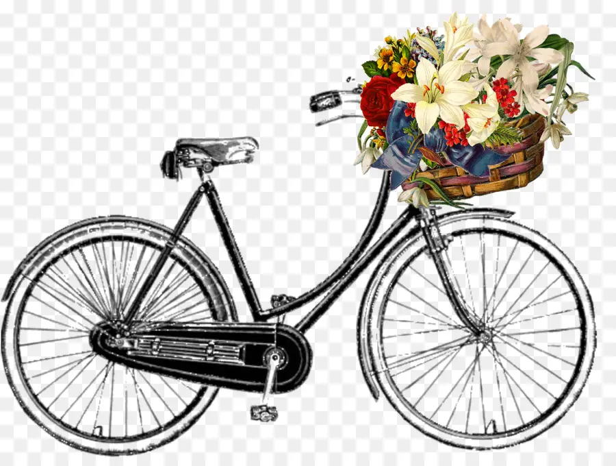 Bicicleta，Cruzador De Bicicleta PNG