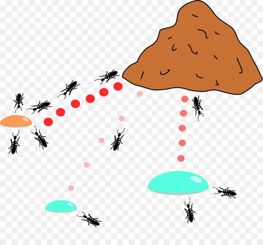 Formiga，Algoritmos De Otimização Colônia De Formigas PNG