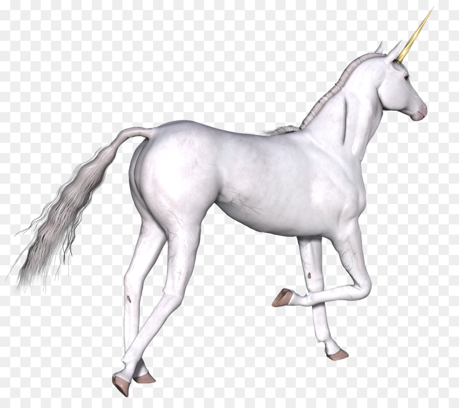 Desenho, Unicórnio, Cavalo png transparente grátis