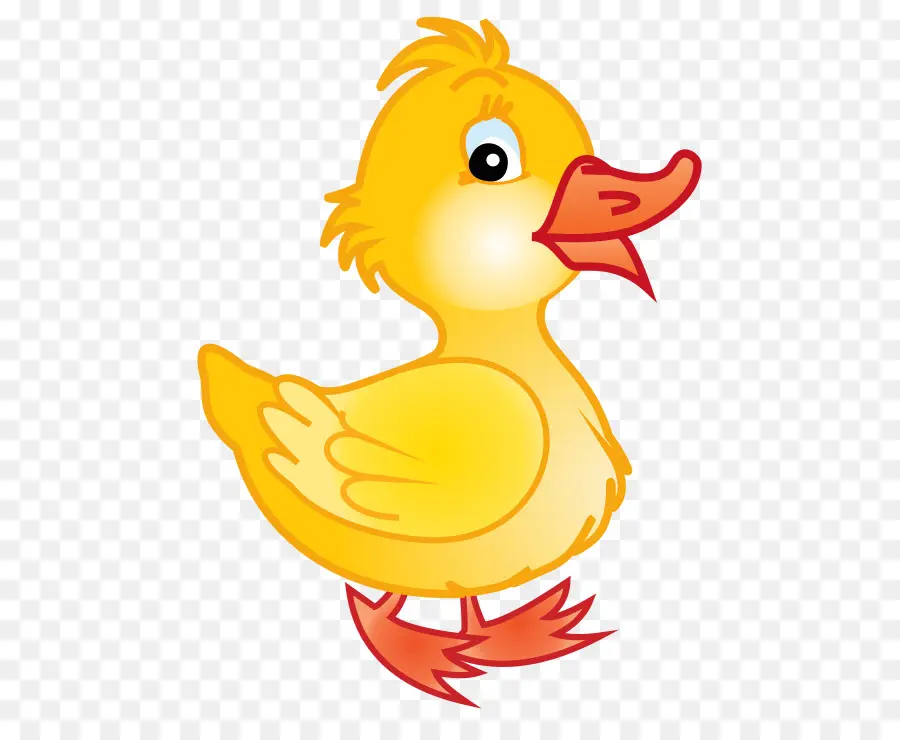 Pato Amarelo，Bico PNG