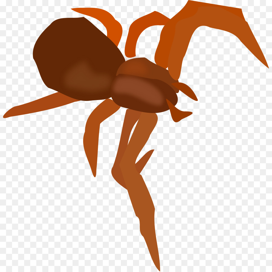 Aranha，ícones Do Computador PNG