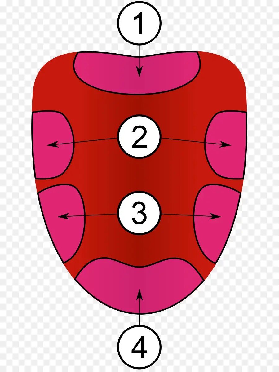 Diagrama De Língua，Gosto PNG