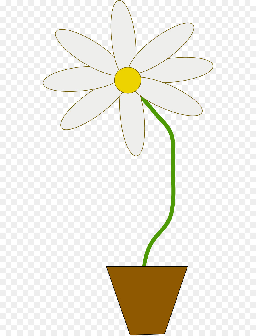 Flor，Pote PNG