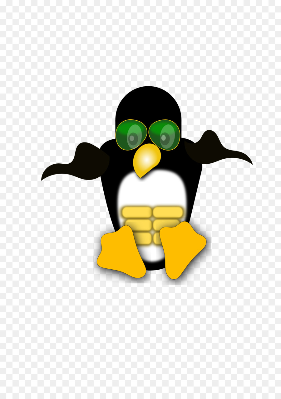 Pinguim De Desenho Animado，Pinguim PNG