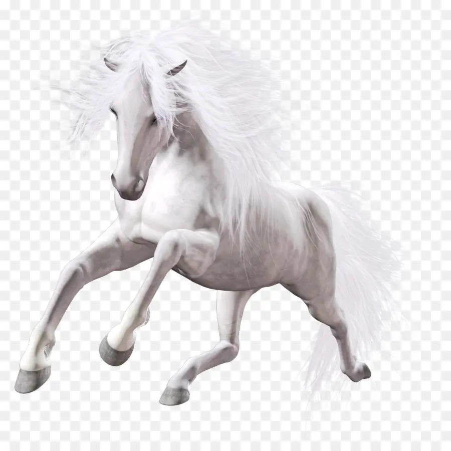 Cavalo Branco，Animal PNG