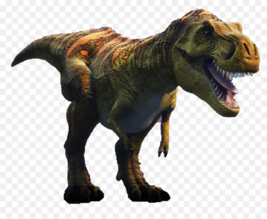 Triceratops，O Dracorex PNG