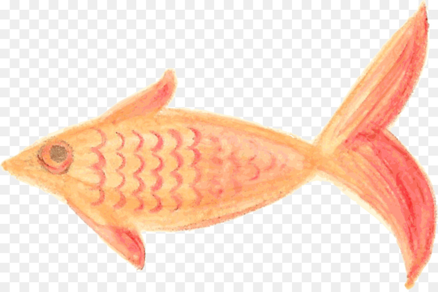 Peixe，Pintado Peixe PNG