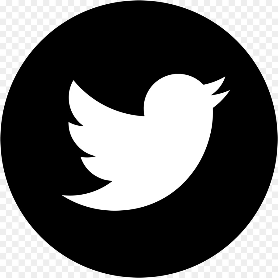 Logotipo Do Twitter，Pássaro PNG