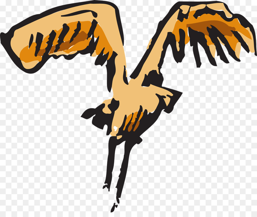 Aves，Pena PNG