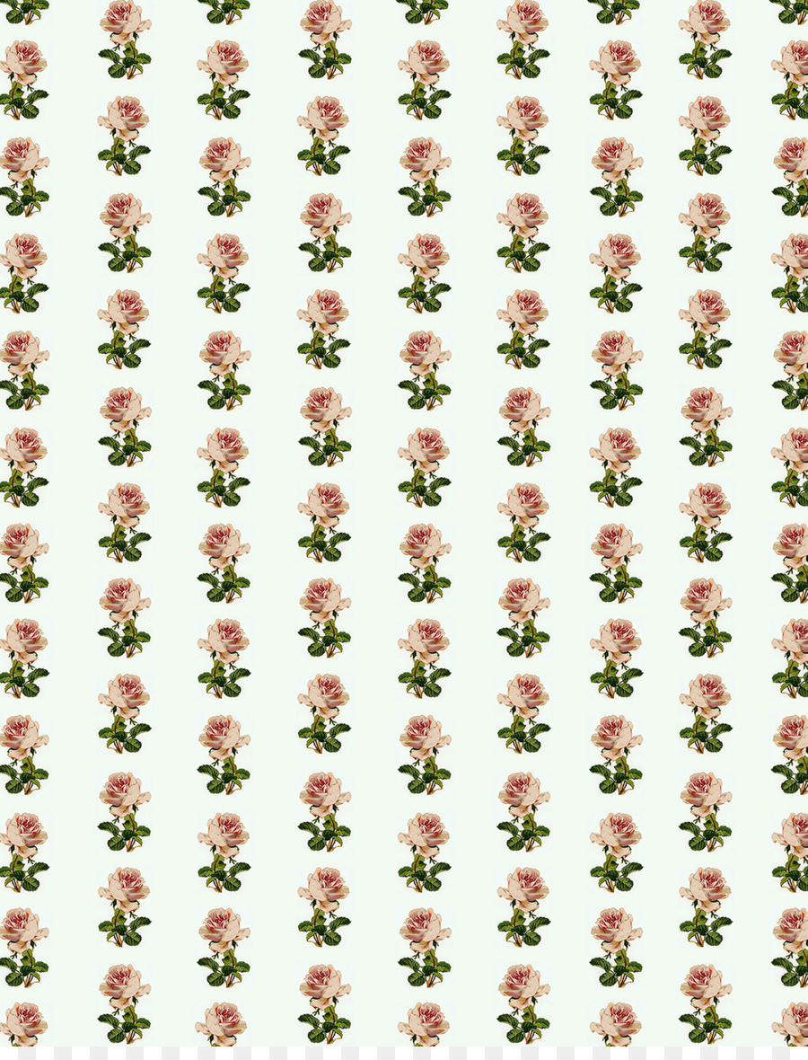 Rosas，Flores PNG