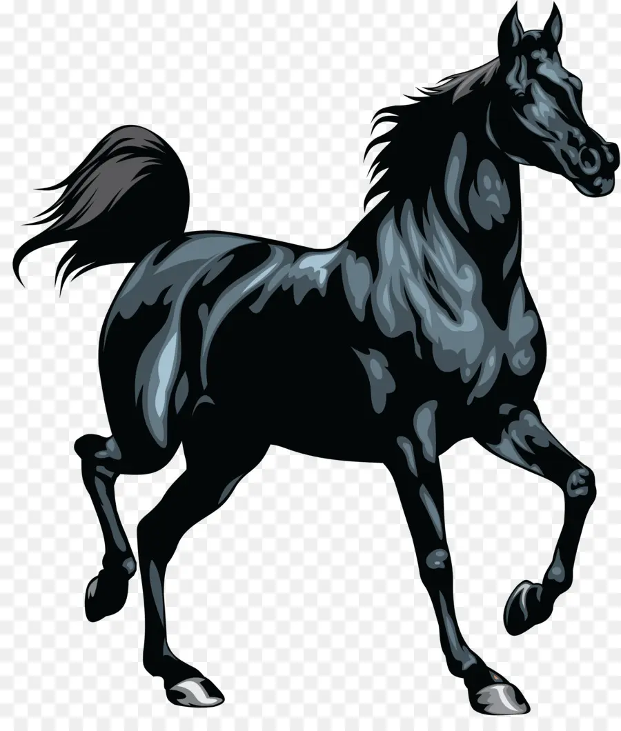 Cavalo，Equino PNG