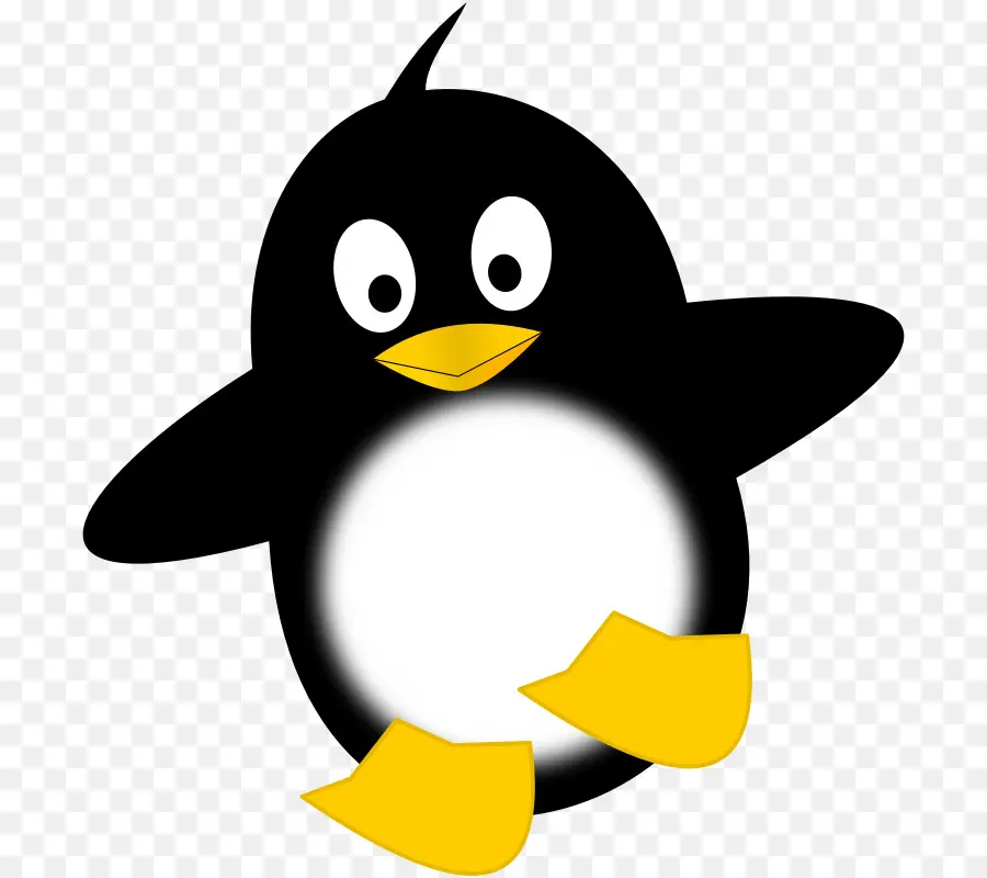 Pinguim Dançante，Animal PNG