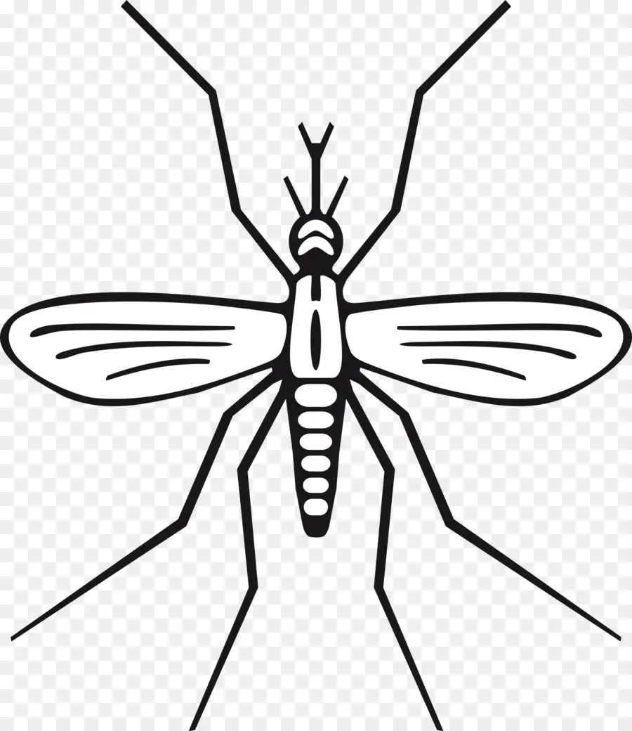 Mosquito，Vetor PNG