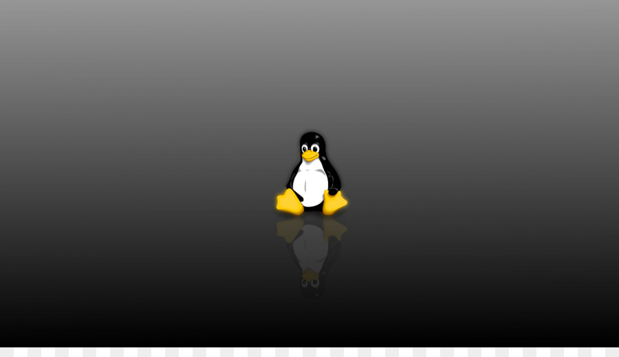 Aves，Penguin PNG