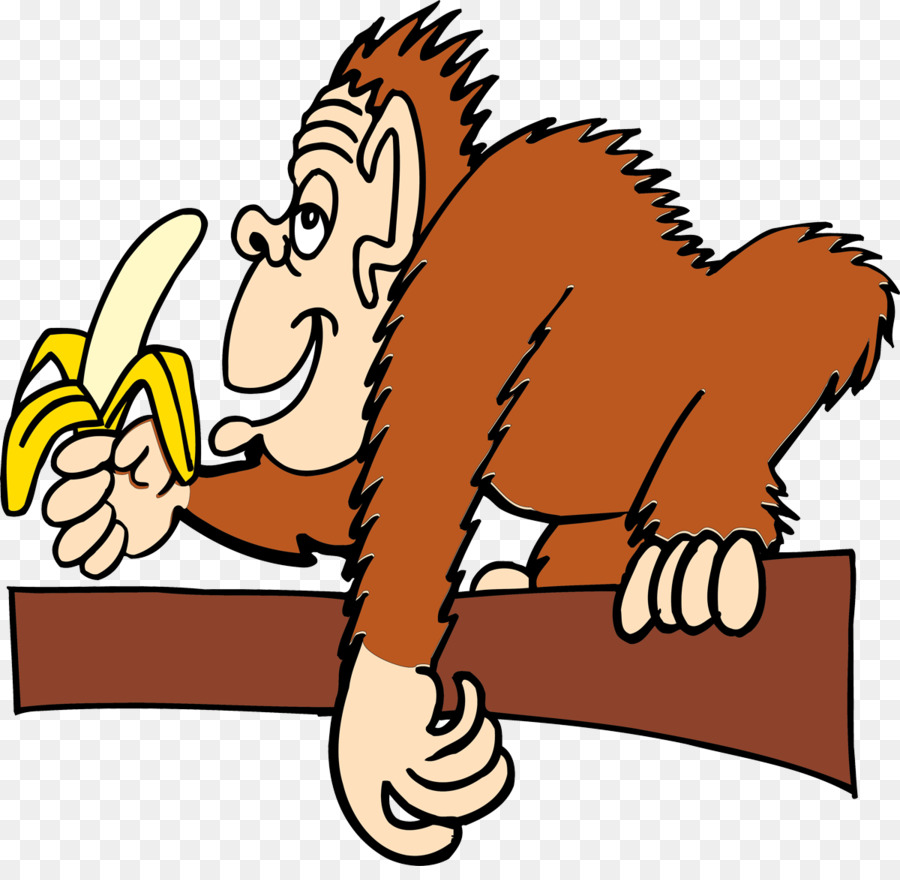 Macaco Com Banana，Banana PNG