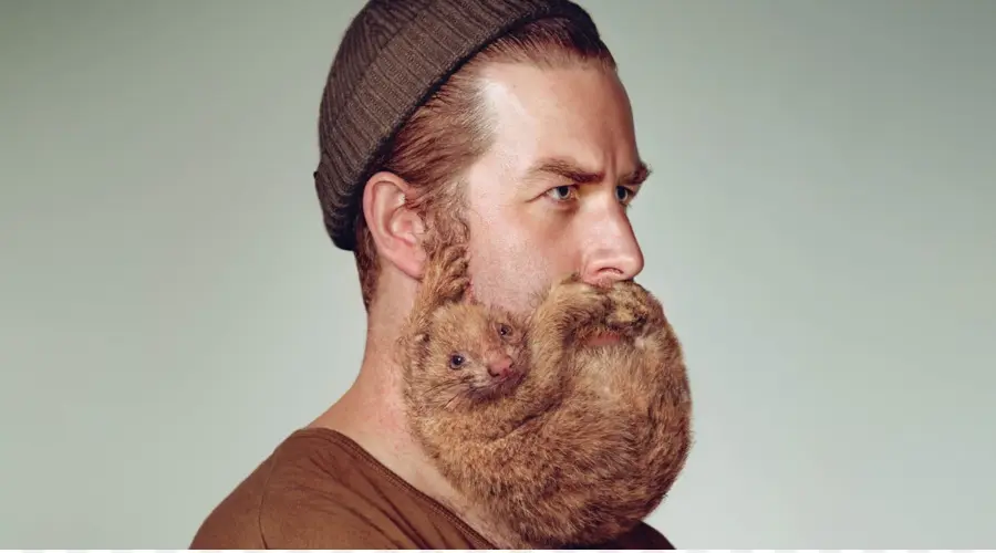 Homem Com Barba Animal，Barba PNG