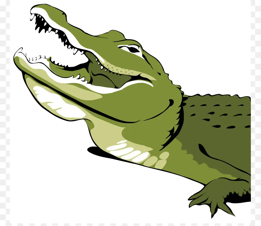 Crocodilo，Réptil PNG