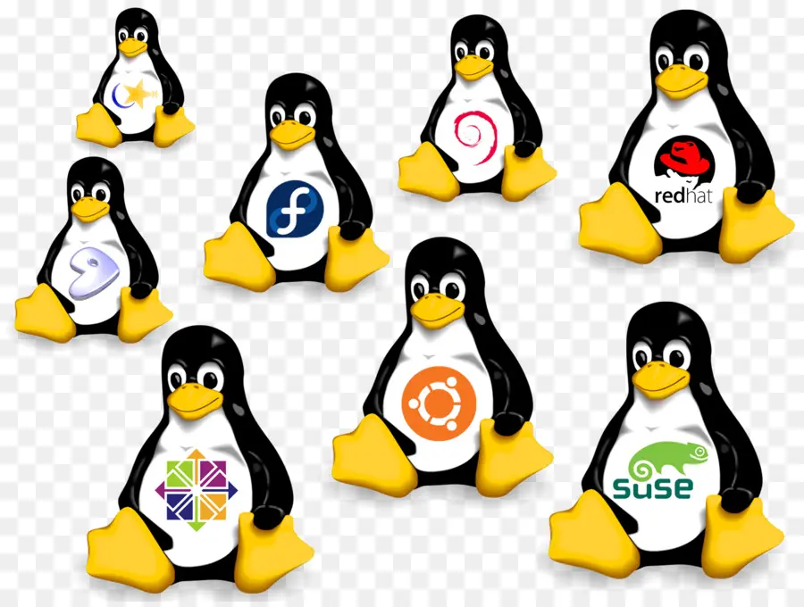Linux，Distribuição Linux PNG