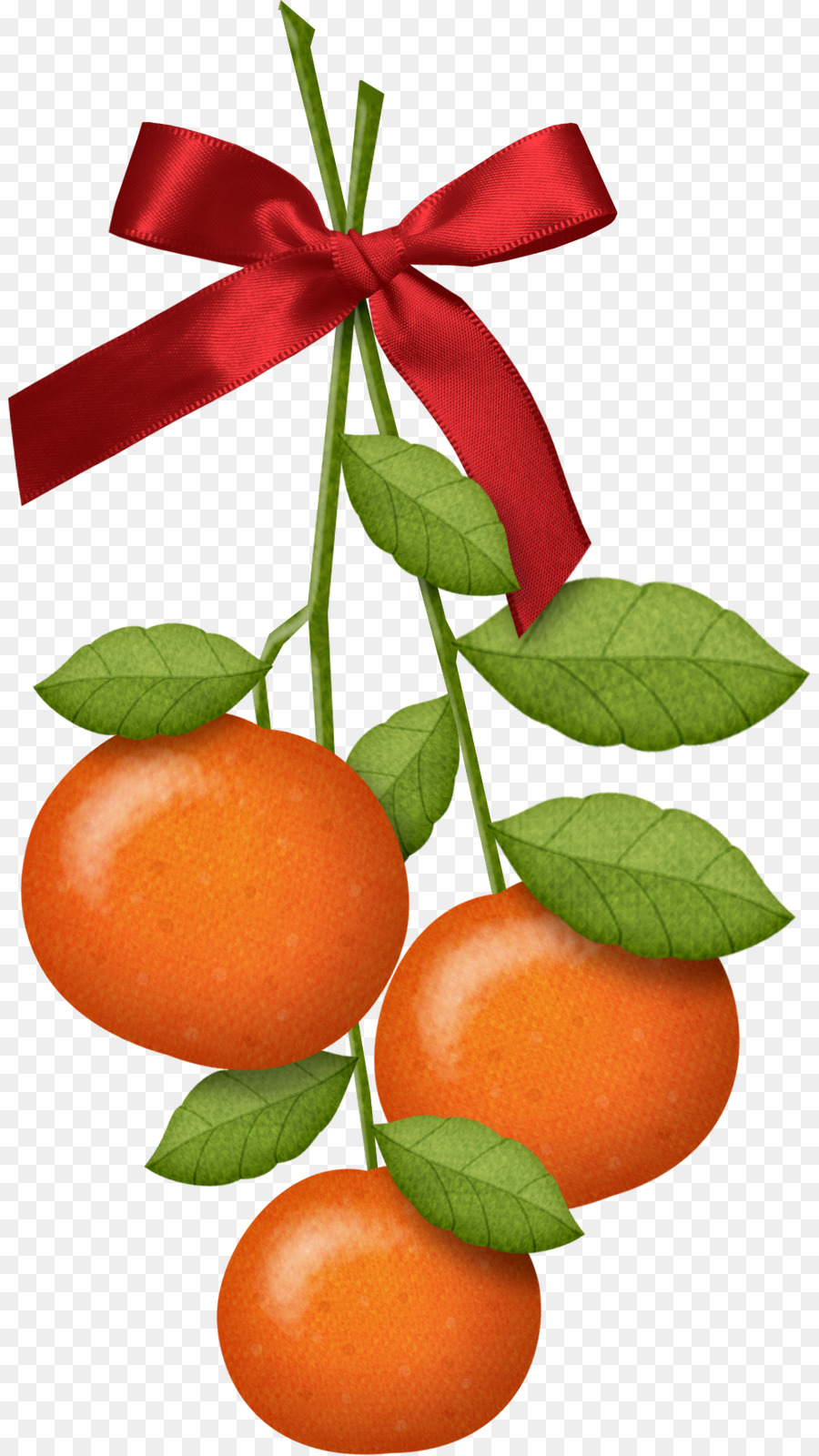 Tangyuan，Mandarina PNG