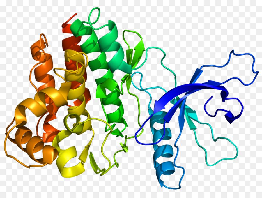 Janus Kinase 2，Janus Quinase 3 PNG