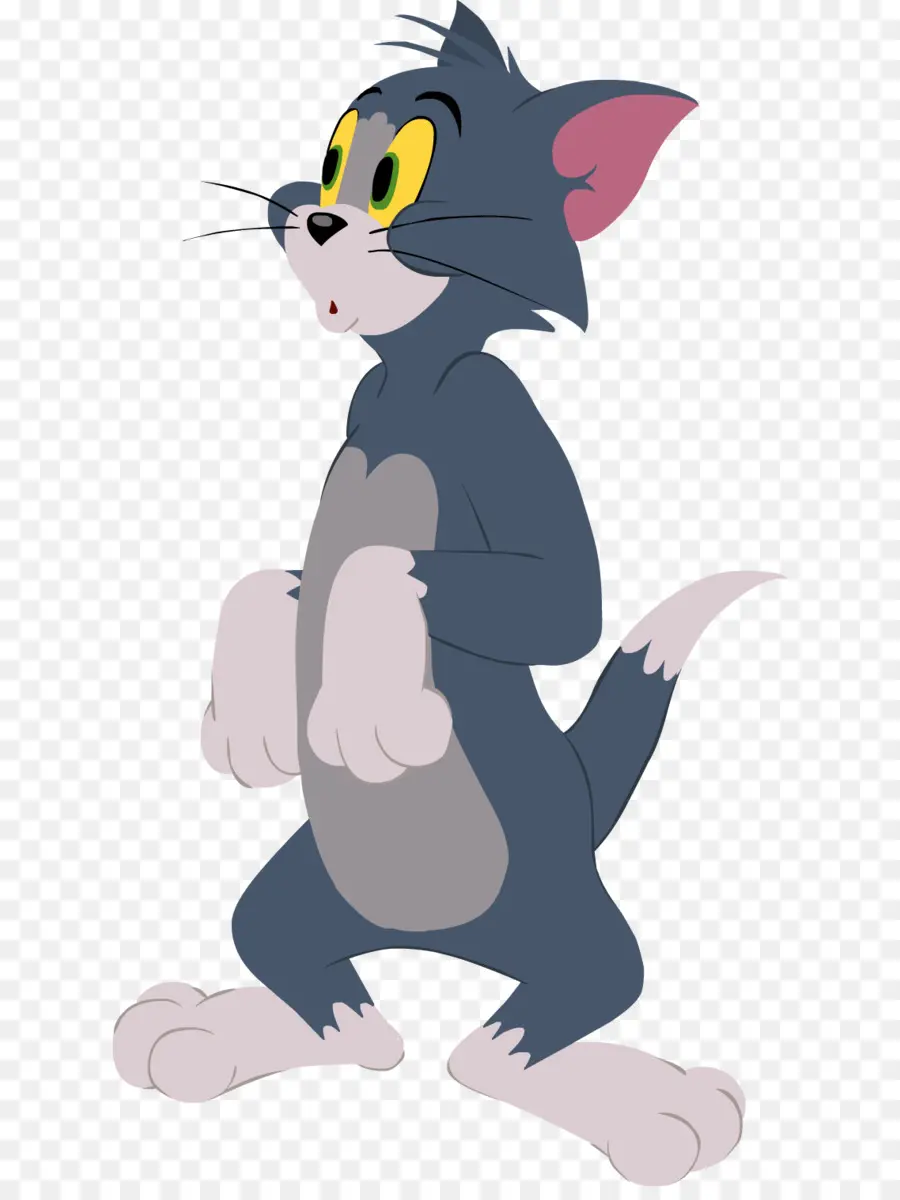 Tom Cat，Jerry Mouse PNG