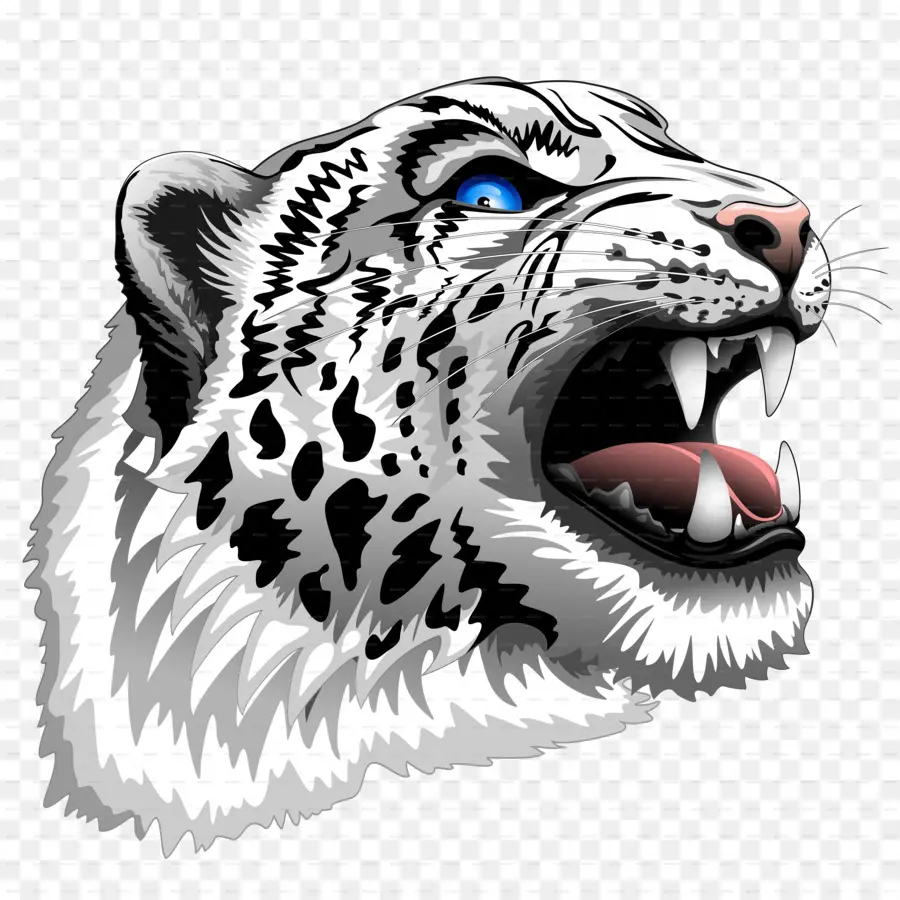 Tigre，O Snow Leopard PNG