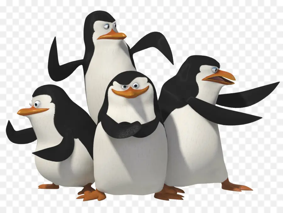 Capitão，Penguin PNG