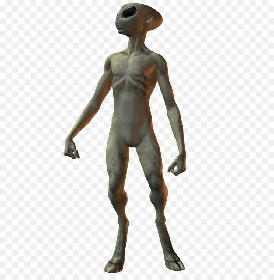 Cinza Alienígenas，Alien PNG