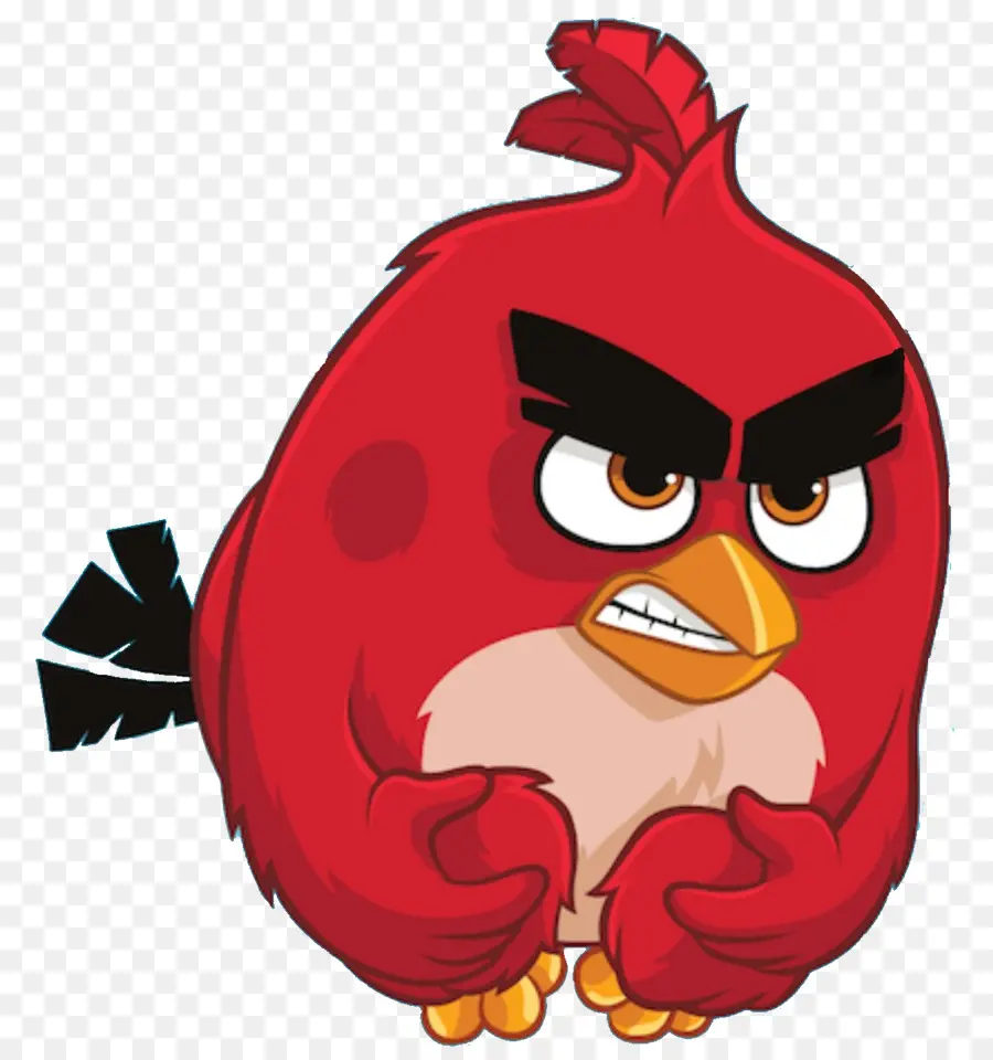 Angry Birds，Angry Birds Pop PNG