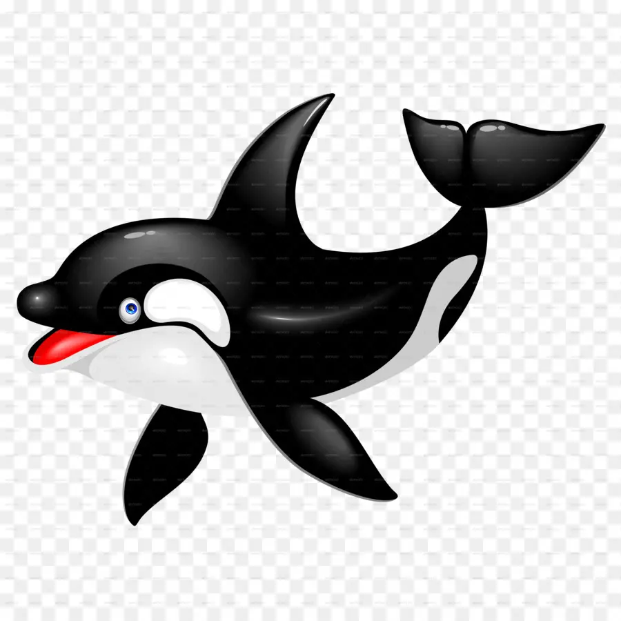 Baleia Dos Desenhos Animados，Orca PNG