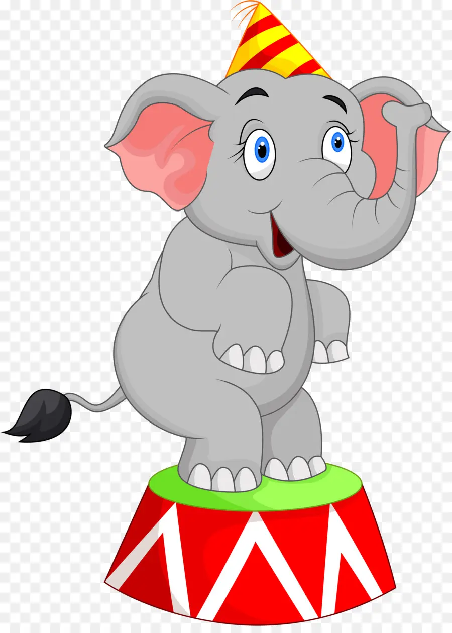 Circo，Elefante PNG