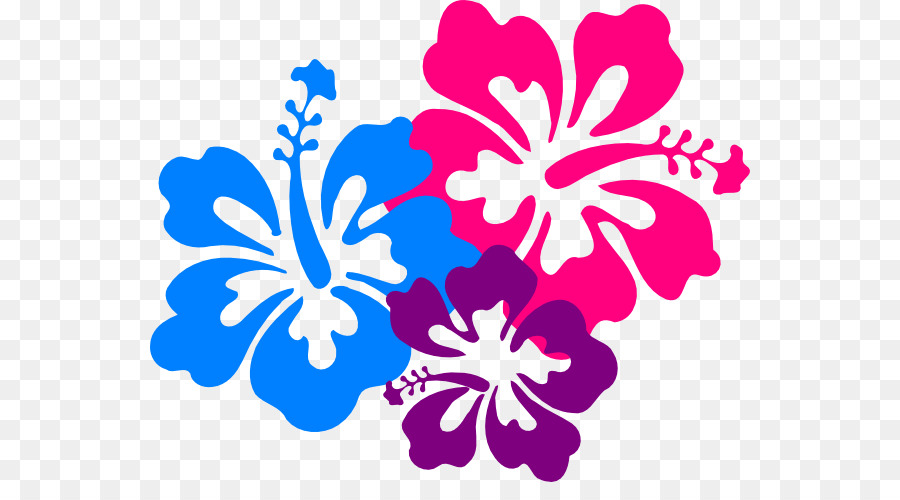 Havaí, Havaianas, Flor png transparente grátis