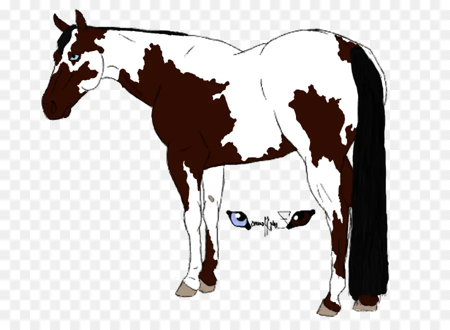 Cavalo Marrom E Branco，Equino PNG