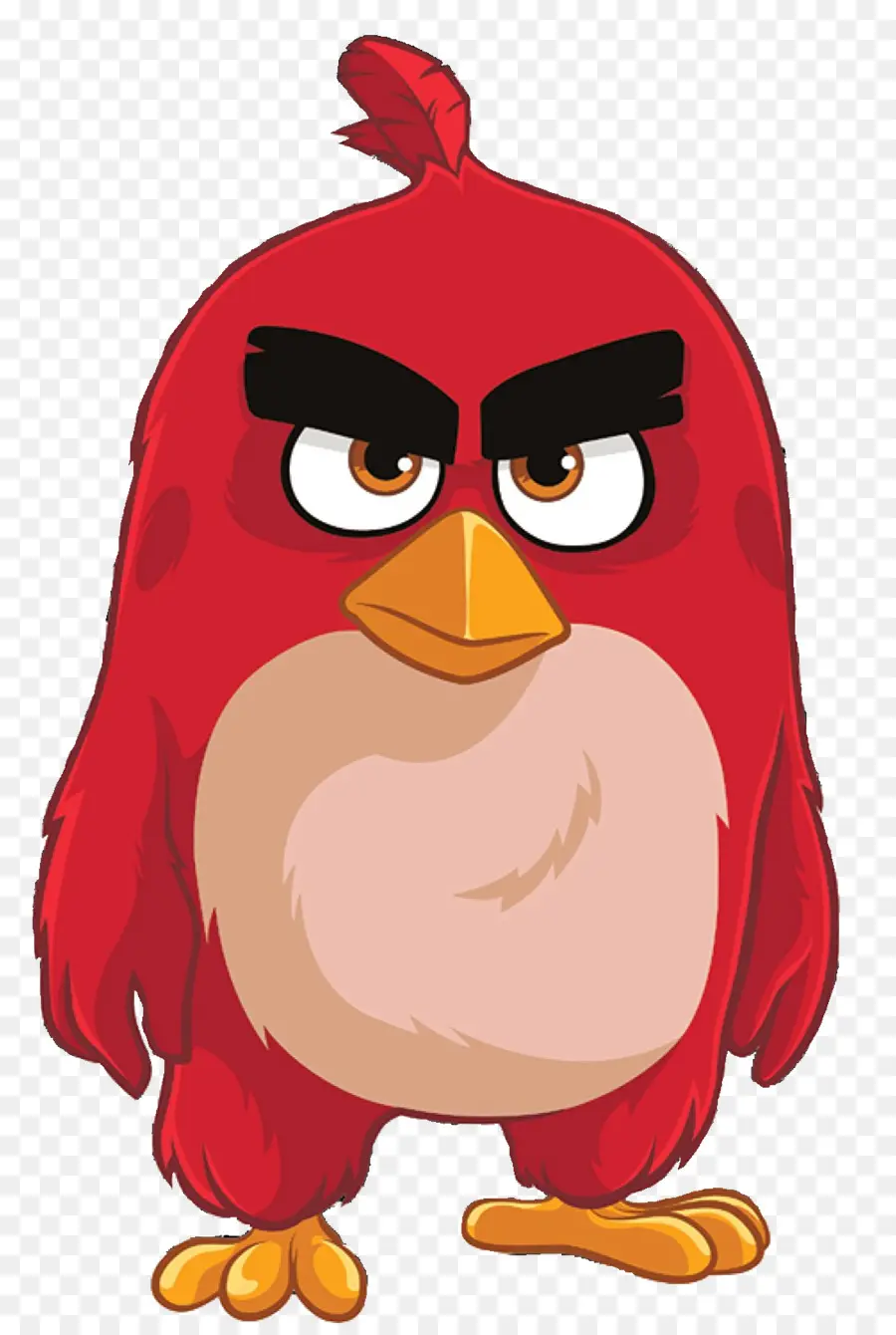 Angry Birds Seasons，Angry Birds PNG