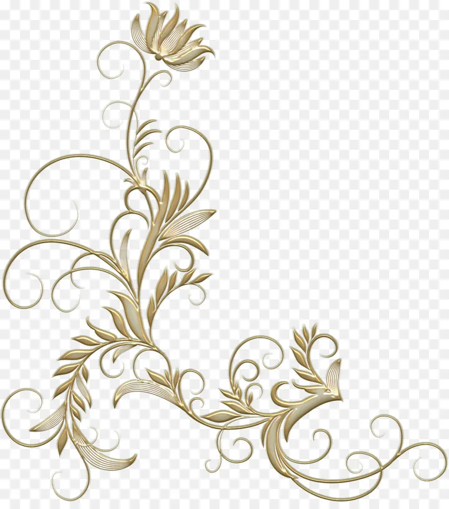 Flor，Design Floral PNG