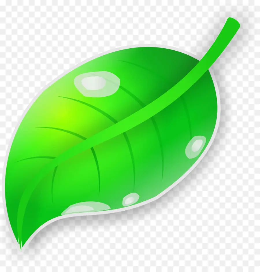 Folha Verde，Natureza PNG