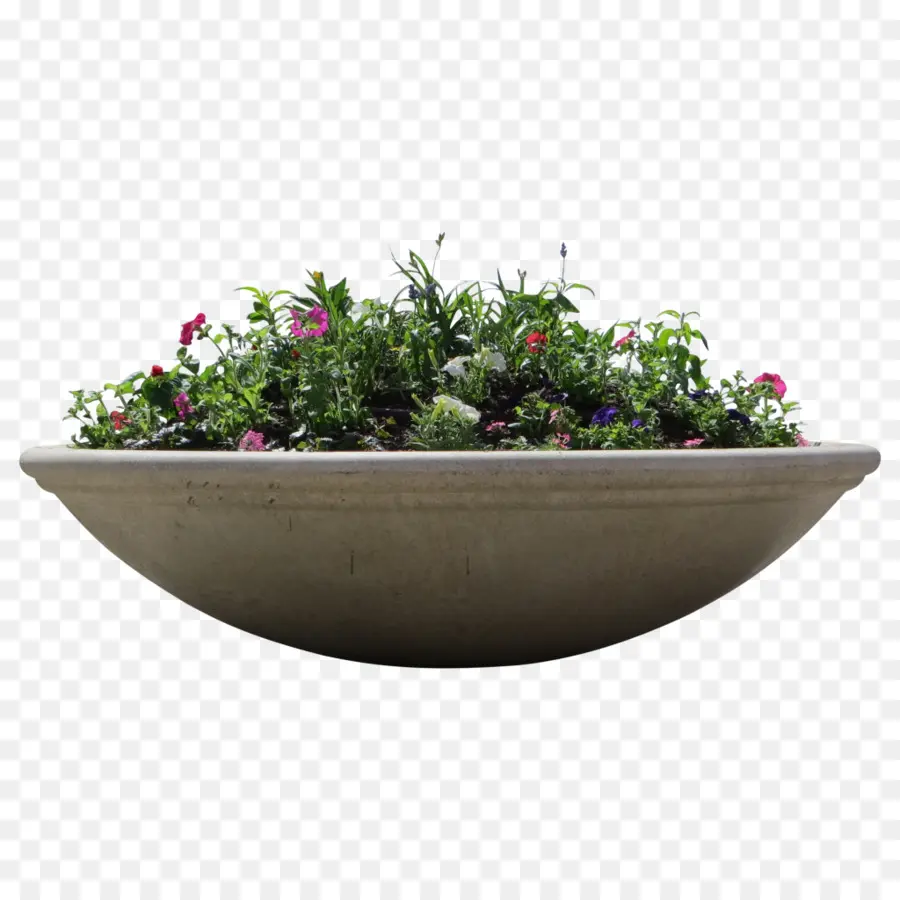 Vaso De Flores，Plantas PNG