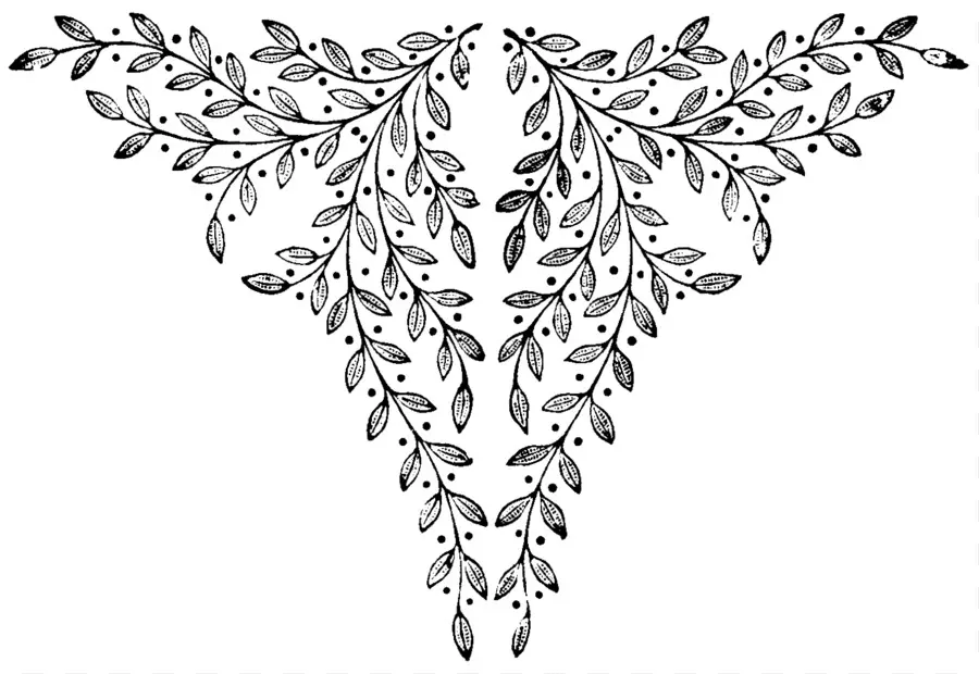 Desenho Floral，Folhas PNG