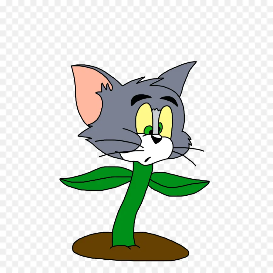 Tom Cat，Gato PNG