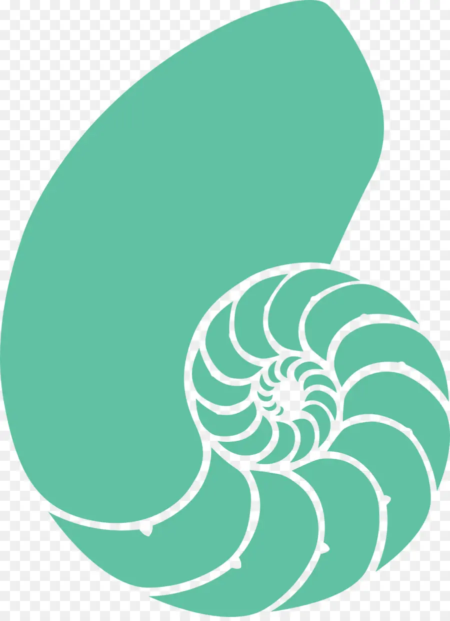 Seashell，Nautilidae PNG