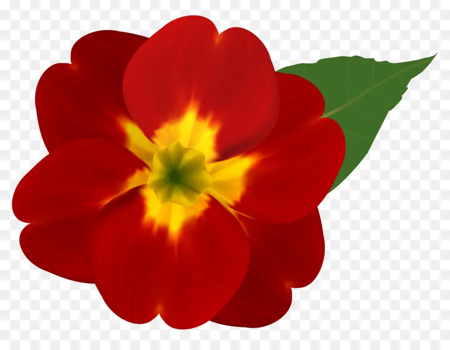 Flor，Vermelho PNG