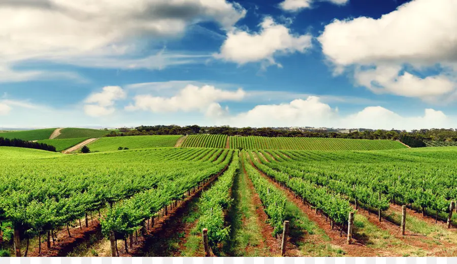 Agricultura，Fazenda PNG