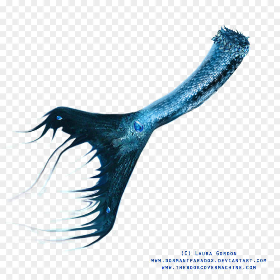 Sereia，Barbatana PNG