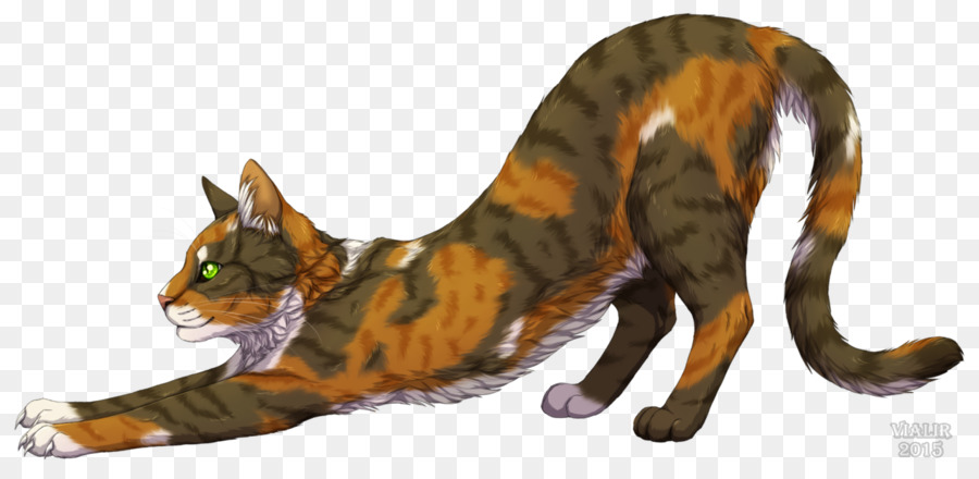 Gato，Tawnypelt PNG