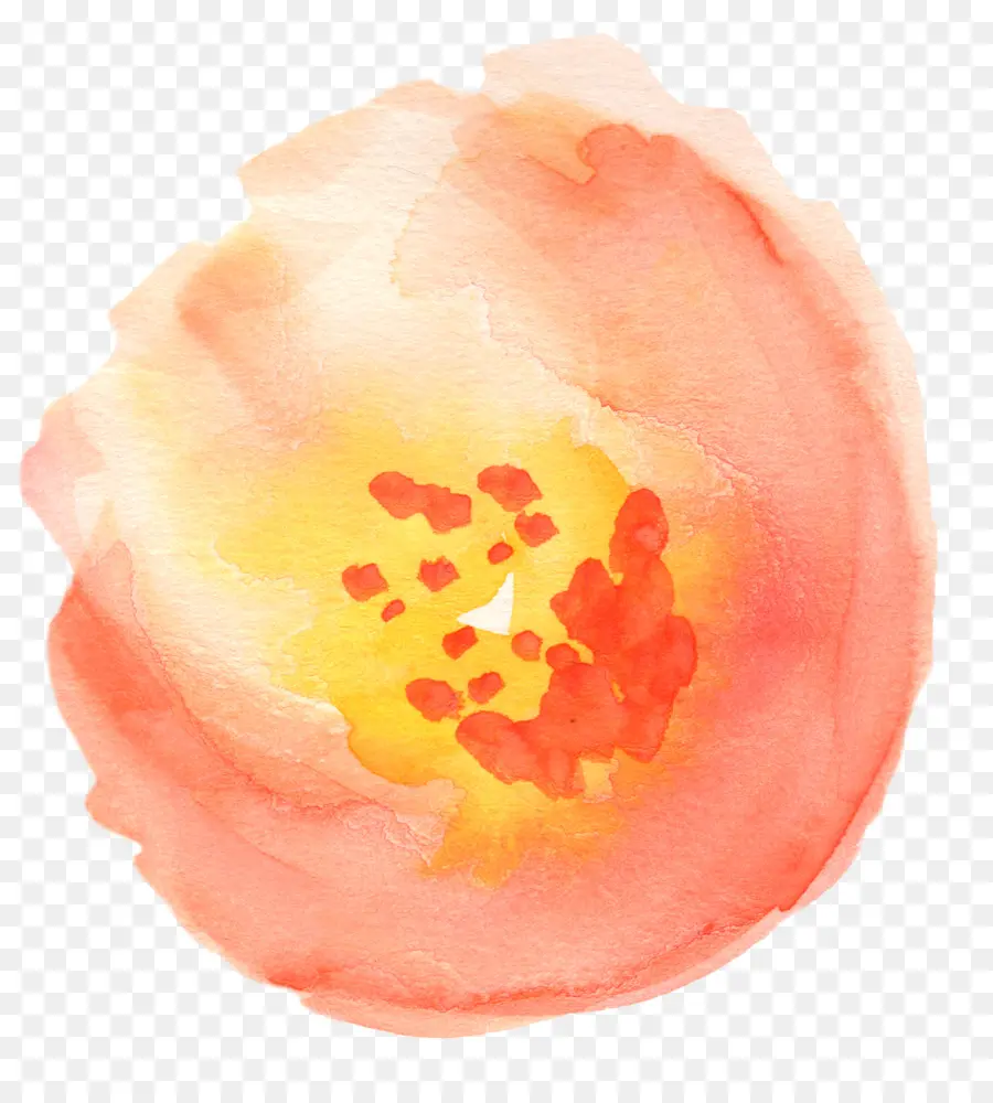 Flor Aquarela，Pintura PNG