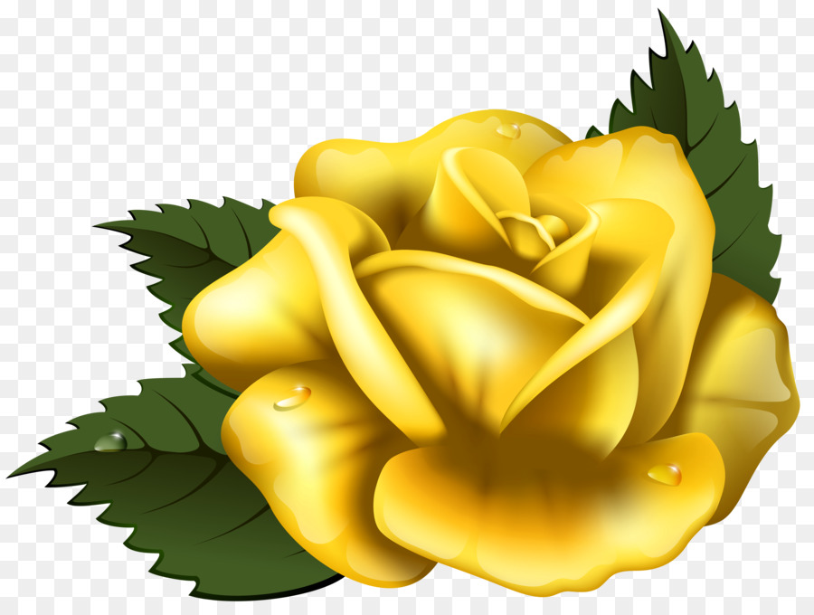 Featured image of post Rosas Amarelas Desenho Png Cecile brunner ou roseira polianta