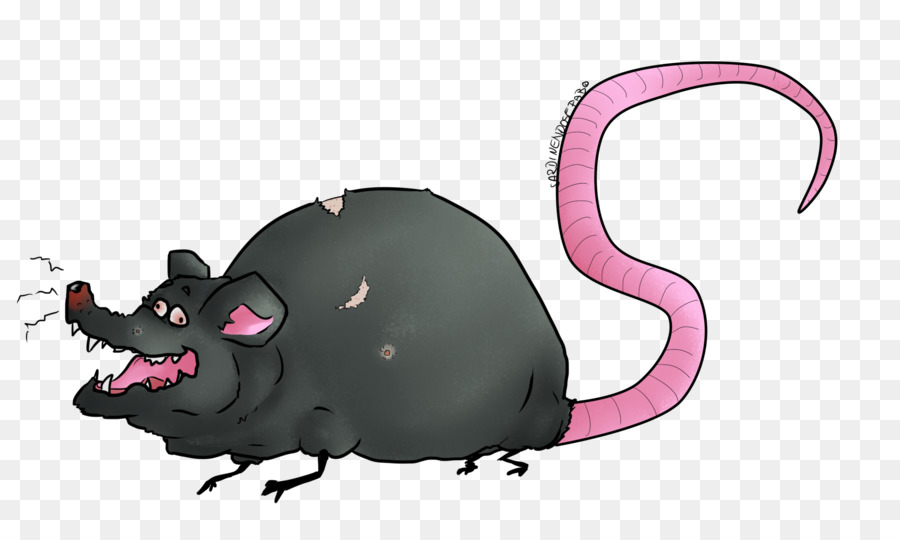 Rat，Murids PNG