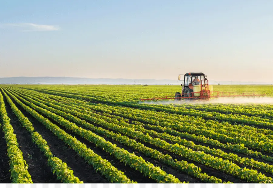 Campo Agrícola，Trator PNG